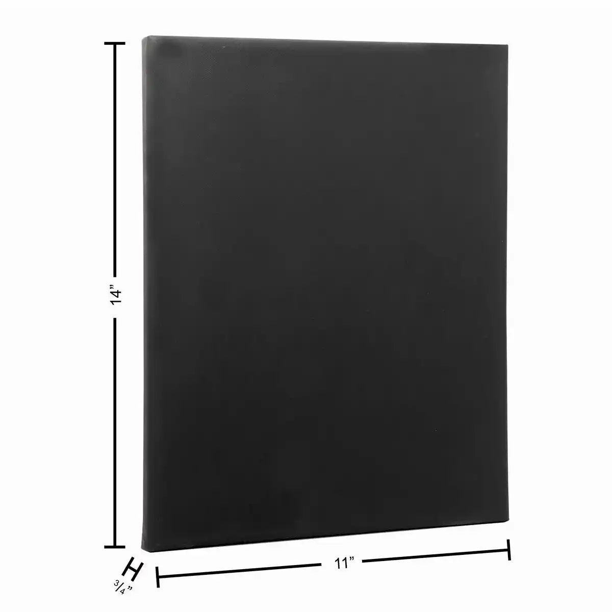 Art Advantage Artists Canvas Black