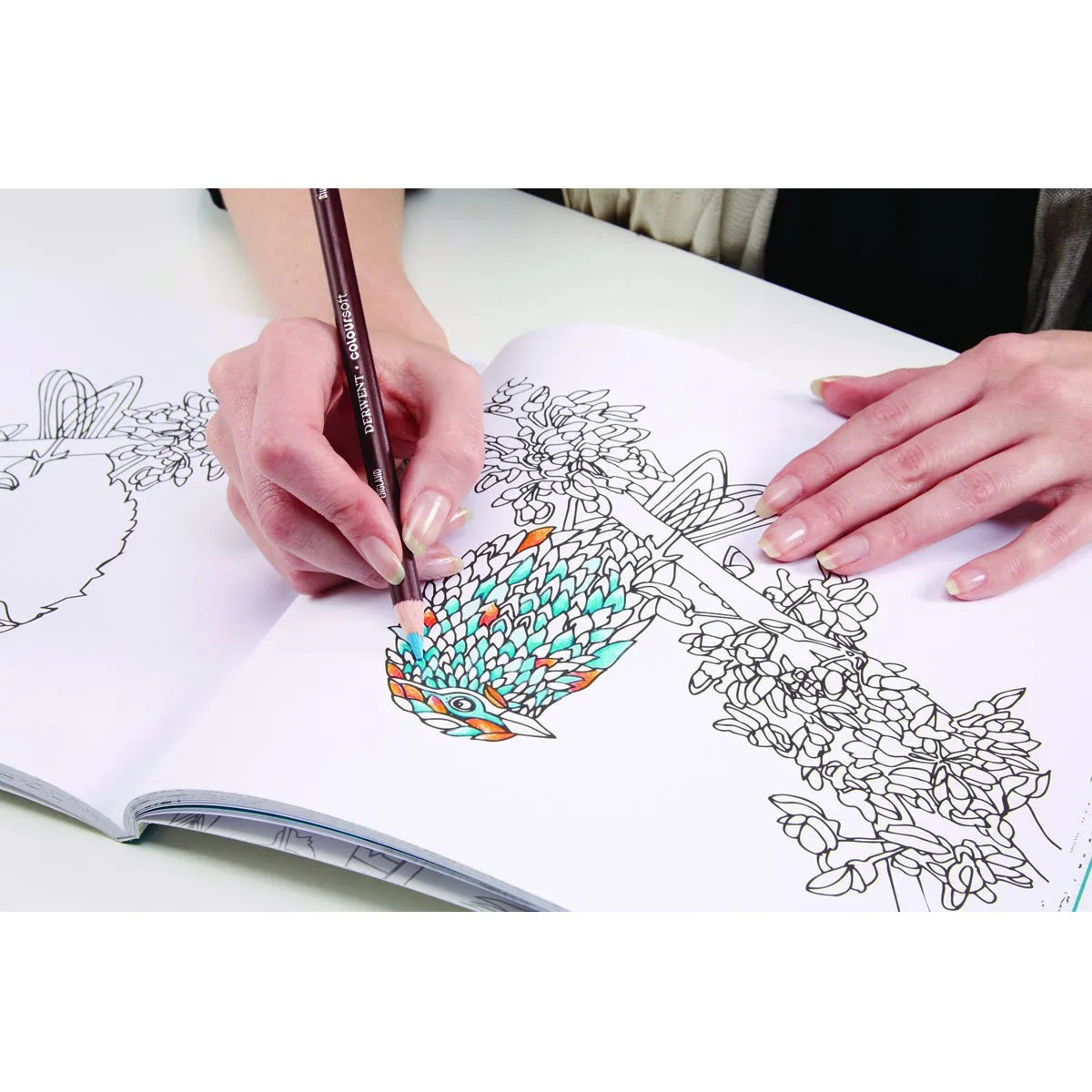 Derwent Unwind In The Wilds Colouring Book (96 Pages)