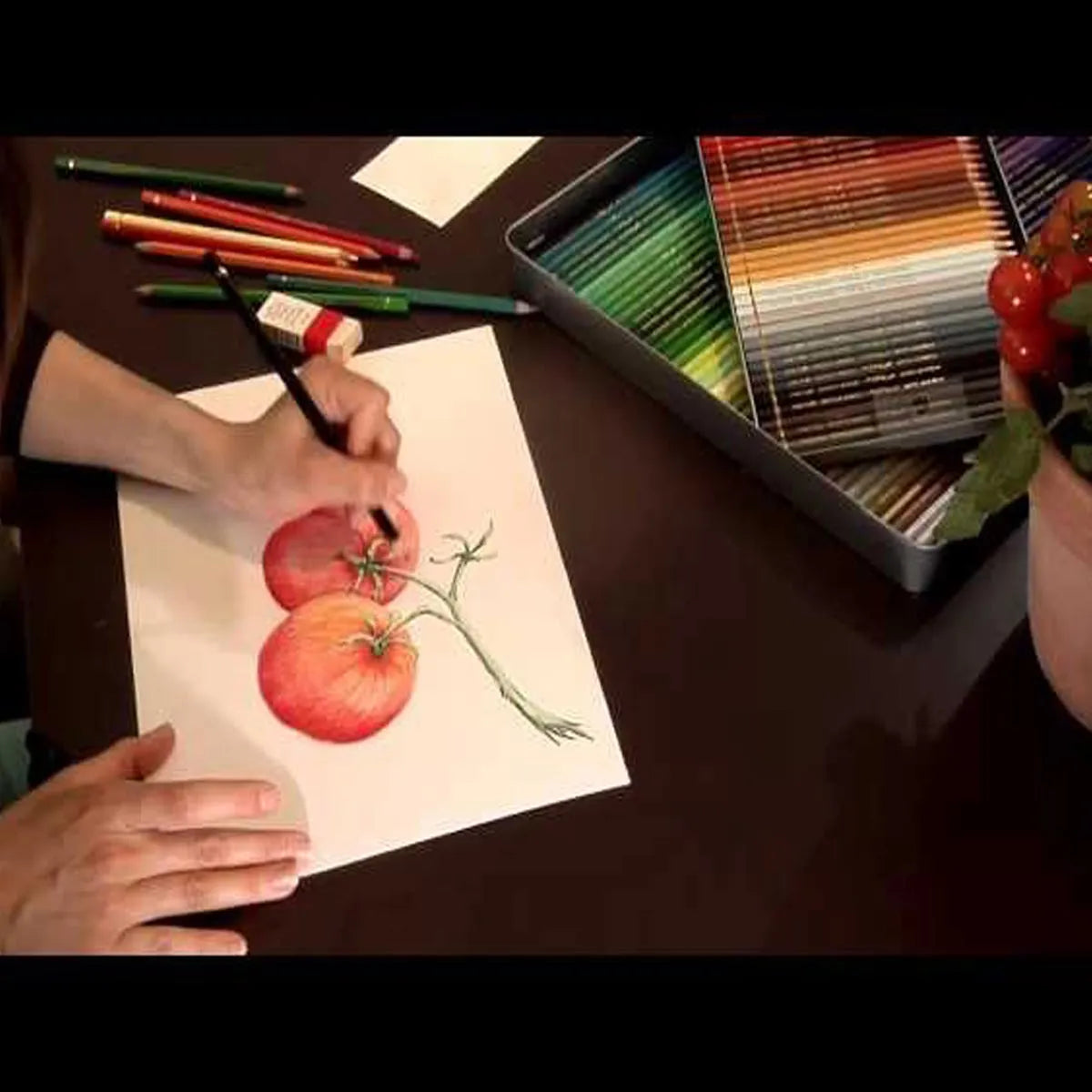 Caran d’Ache Pablo Coloured Pencils