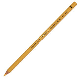 Caran d’Ache Pablo Coloured Pencils
