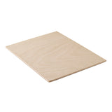Apollon Gotrick Birch Panel Boards Unframed