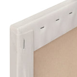 Apollon Gotrick Standard Cotton Canvas 3/4 inch