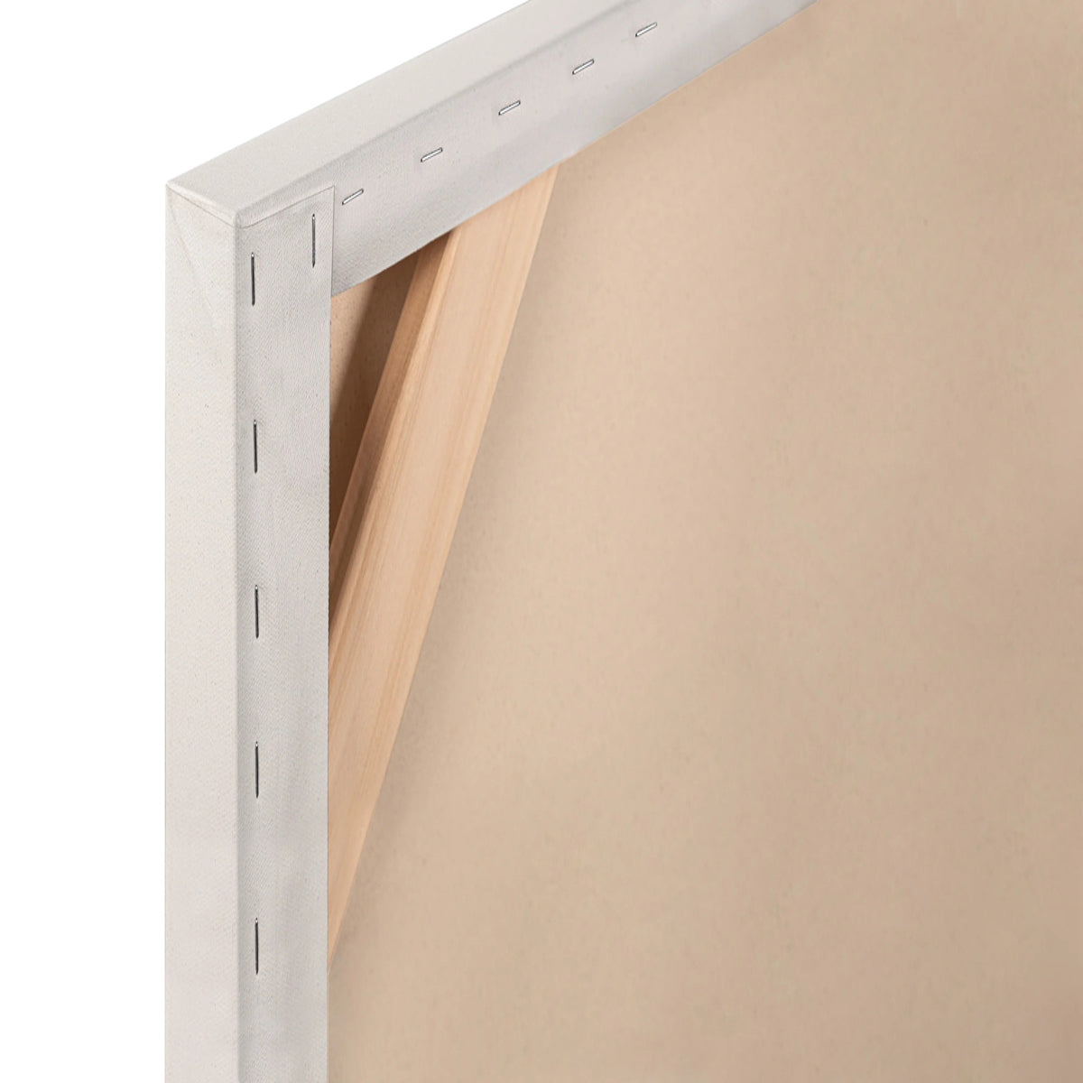 Apollon Gotrick Standard Cotton Canvas 3/4 inch
