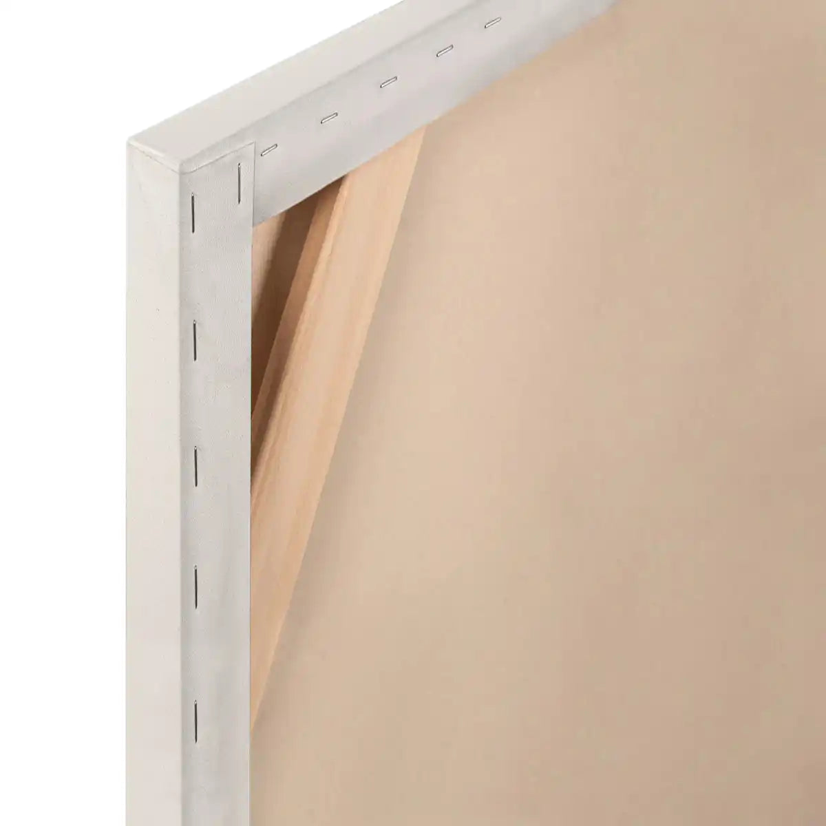 Apollon Gotrick Standard Cotton Canvas 3/4 inch