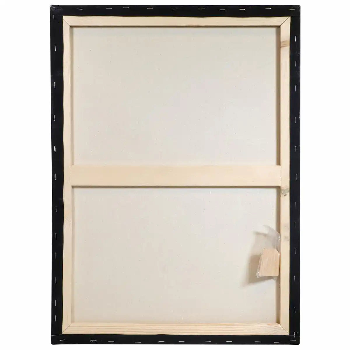 Art Advantage Artists Canvas Black