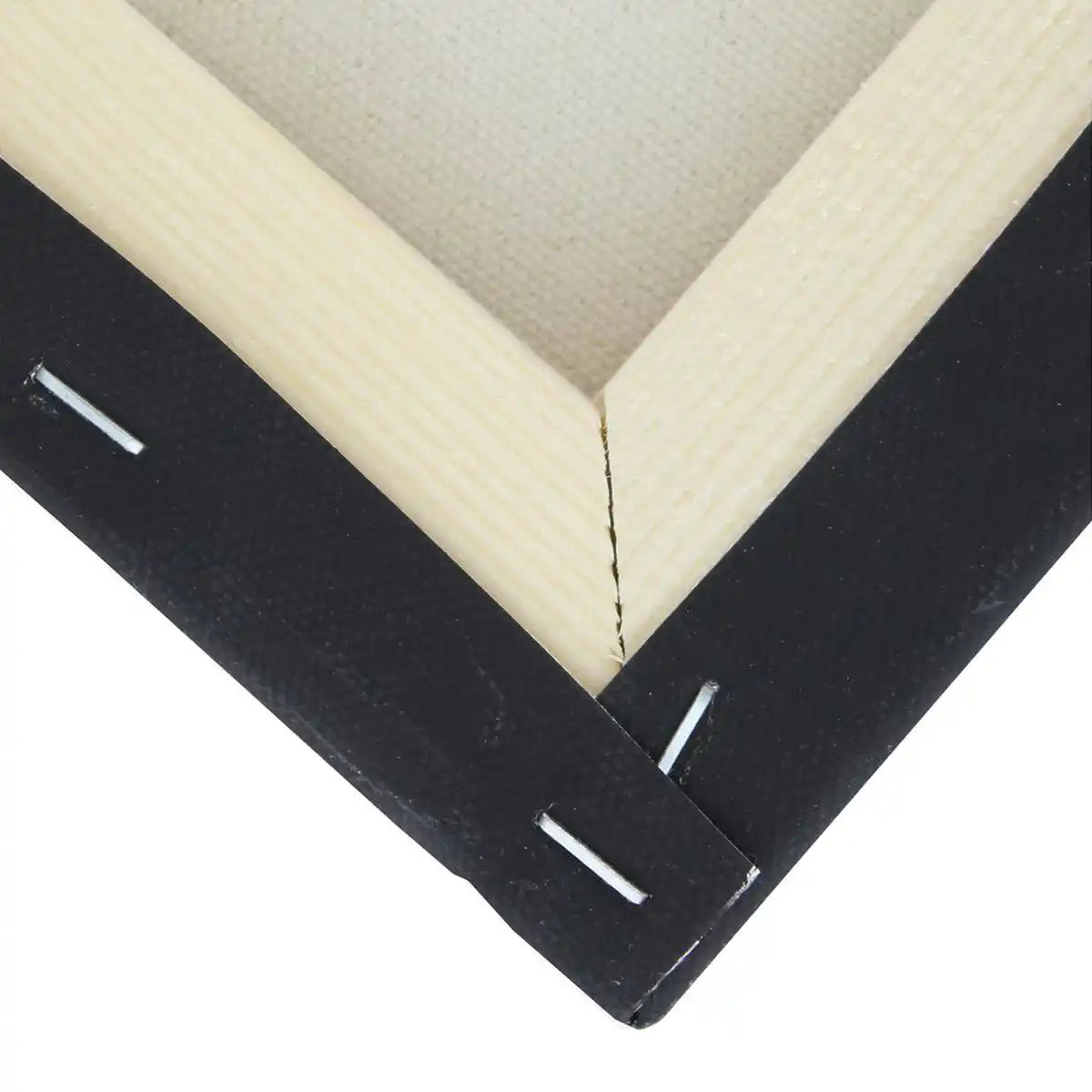 Art Advantage Artists Canvas Black