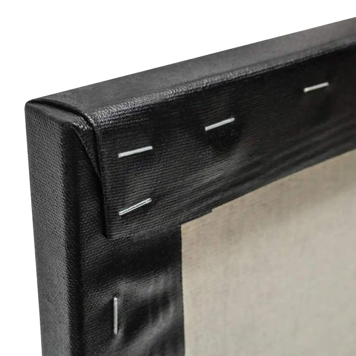 Apollon Gotrick Standard Profile Canvas Black 3/4-inch