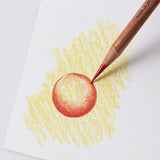 Derwent Lightfast Coloured Pencil Set (12) Tin