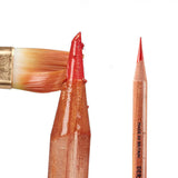 Derwent Lightfast Coloured Pencil Set (12) Tin