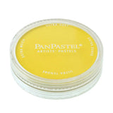 PanPastel Ultra Soft Artists' Pastel Colour
