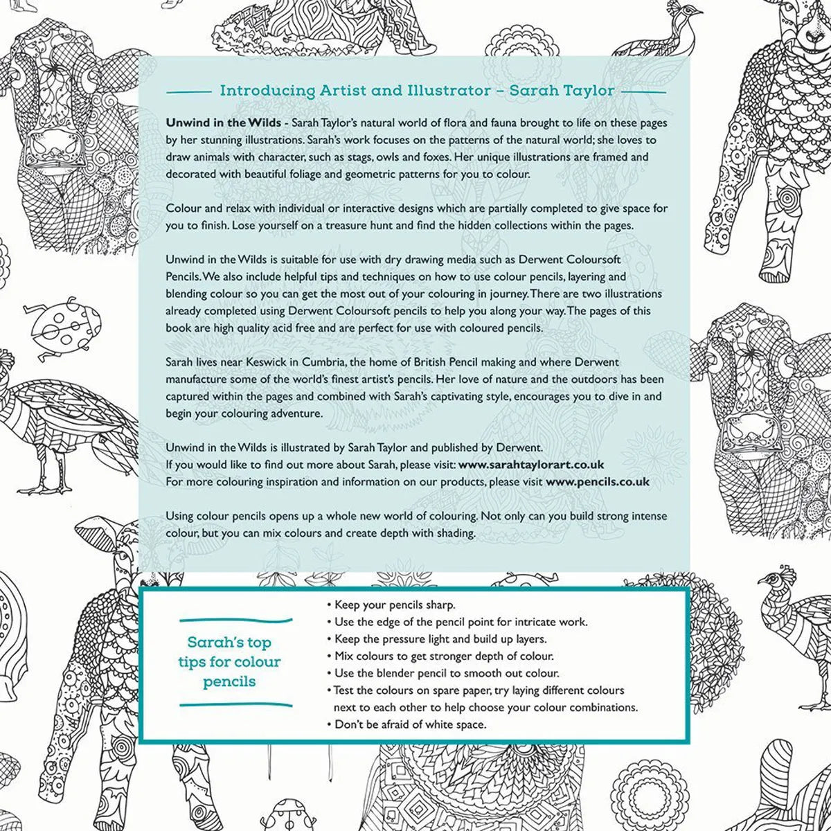 Derwent Unwind in The Wilds Colouring Book with 10 Coloursoft Pencils