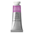 Winsor and Newton Professional Watercolour - King's Framing & Art Gallery