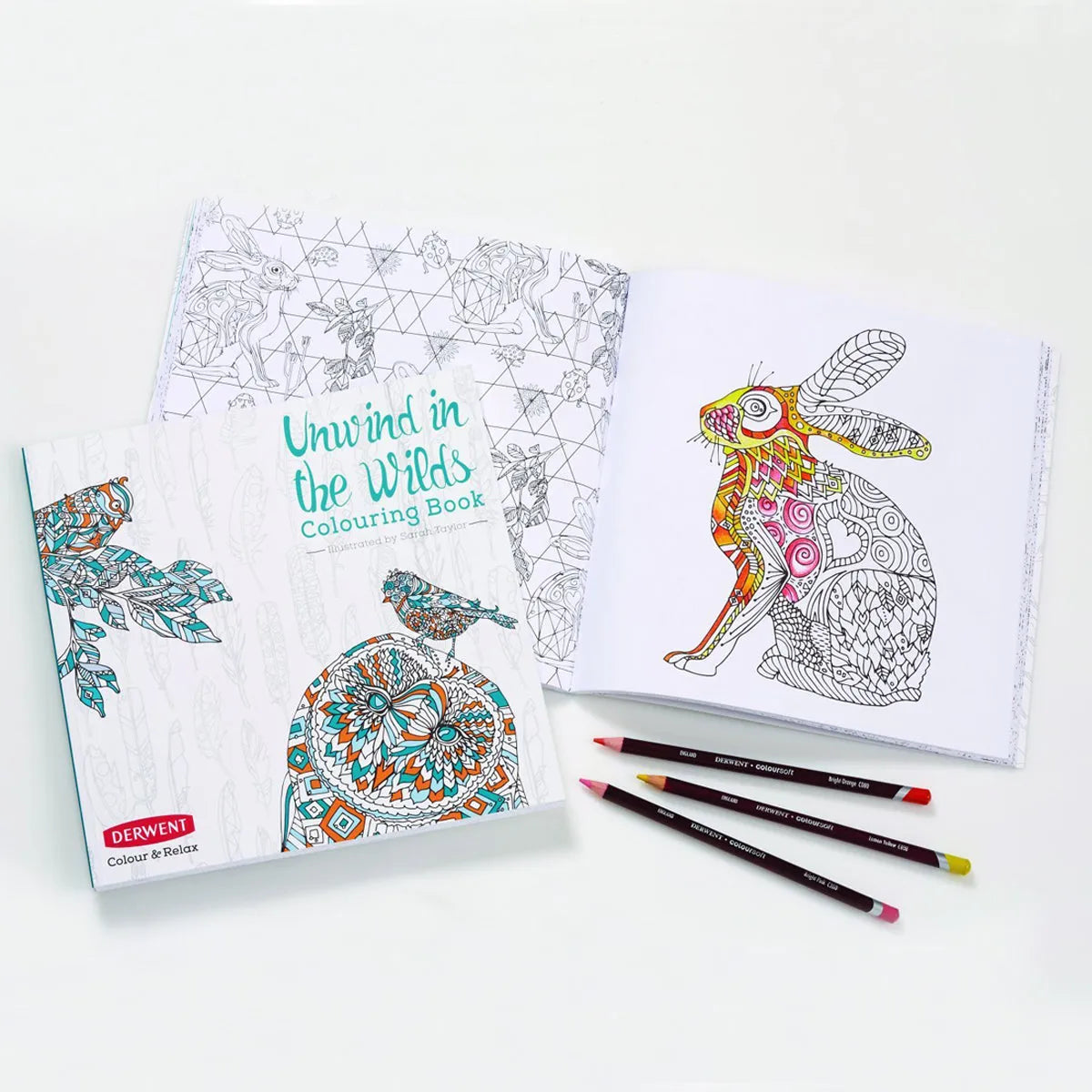 Derwent Unwind in The Wilds Colouring Book with 10 Coloursoft Pencils