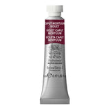 Winsor and Newton Professional Watercolour