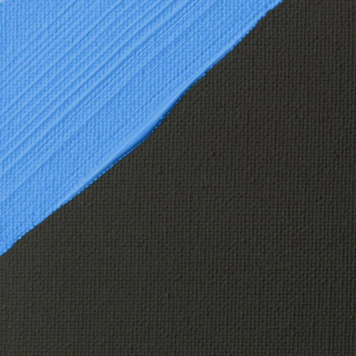 Liquitex Professional Black Gesso Medium 237ml/8oz