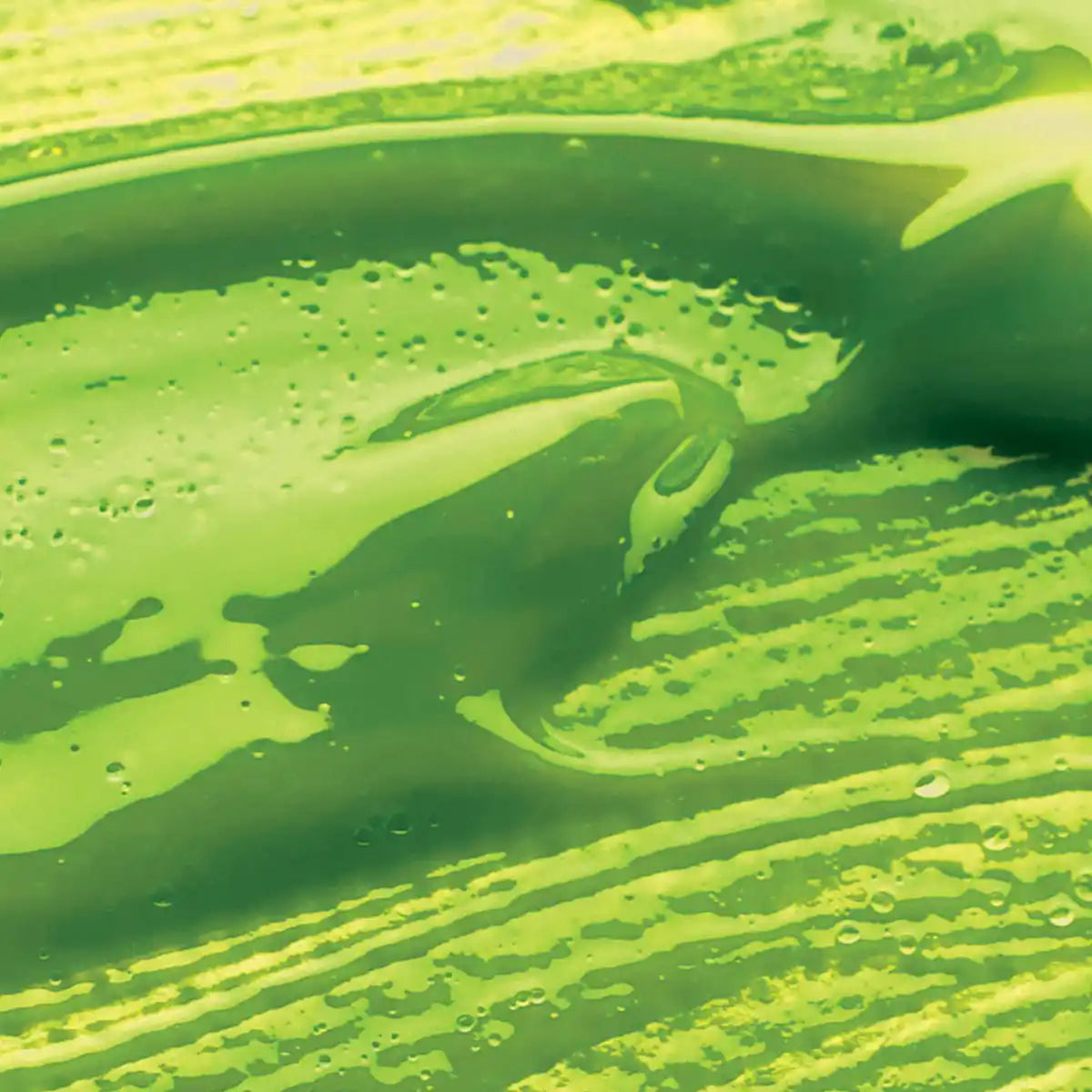 Liquitex Professional Gloss Medium & Varnish