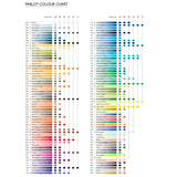 Caran d’Ache Pablo Coloured Pencils