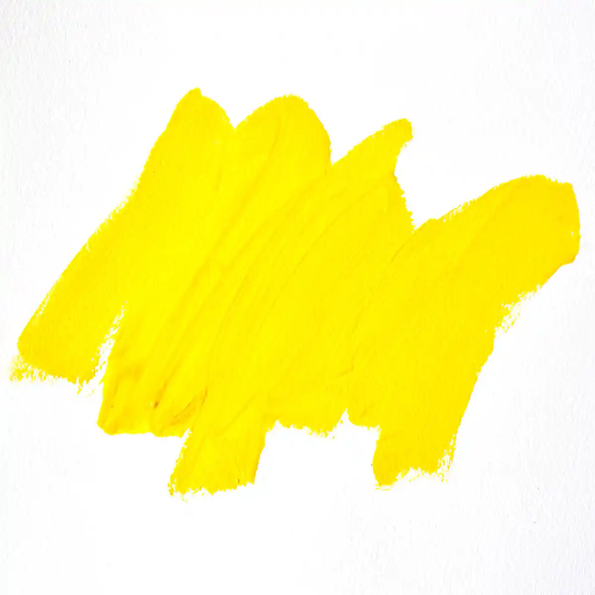 Winsor & Newton Safflower Oil