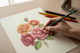 Polychromos Artists' Colour Pencils  drawing demo
