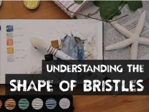 Understanding the Shape of Bristles
