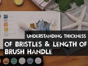 Understanding Thickness of Bristles & Length of Brush Handle